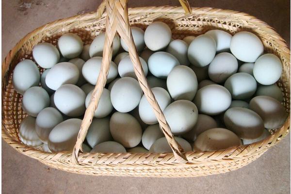 鸭蛋一打有多少个 一个鸭蛋大约重多少克