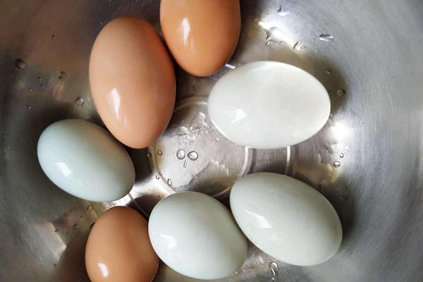 鸡蛋鸭蛋可以一起吃吗 鸭蛋好还是鸡蛋好
