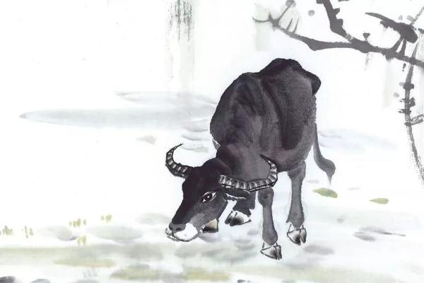 属牛的和什么属相最配(男、女) 属牛的几月出生最好