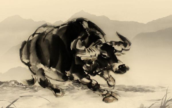 属牛的今年多大(2018年) 属牛今年运势如何(财运、姻缘)