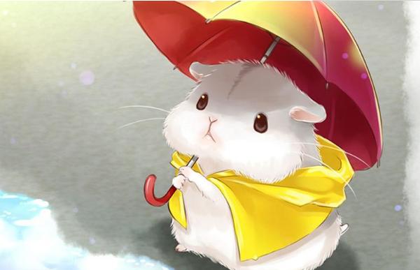 属鼠的和什么属相最配(男、女) 属鼠的几月出生最好