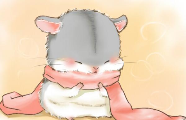 属鼠的和什么属相最配(男、女) 属鼠的几月出生最好