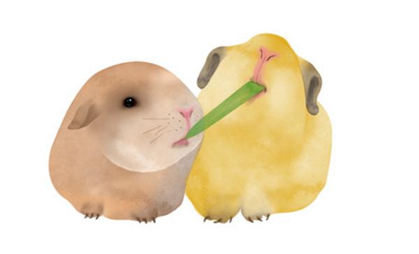 属鼠的和什么属相最配(男、女) 属鼠的几月出生最好