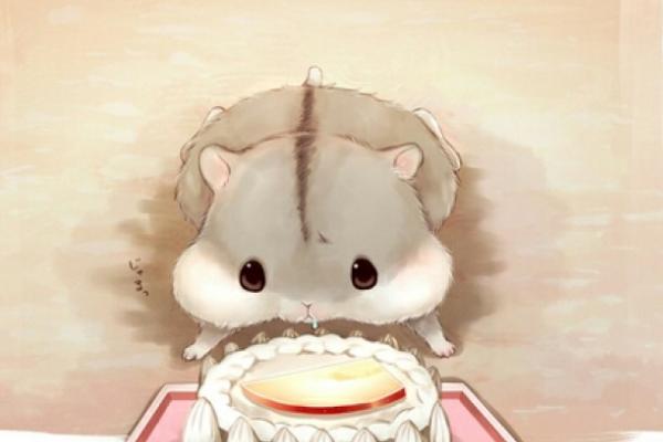 属鼠的今年多大(2018年) 属鼠今年运势如何(财运、姻缘)