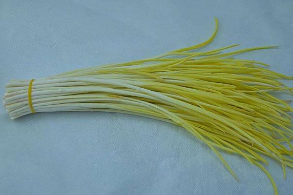 蒜苔、蒜苗、蒜黄、蒜薹之间的区别分别是什么 吃蒜苔有什么好处