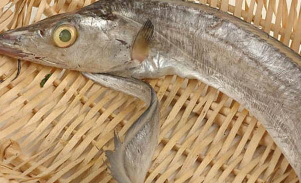 带鱼怎么洗才干净 带鱼白色的用刮掉吗