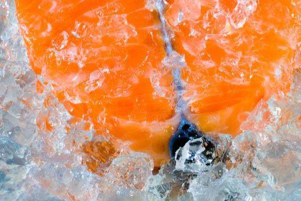 金枪鱼是三文鱼吗 大马哈鱼是三文鱼吗