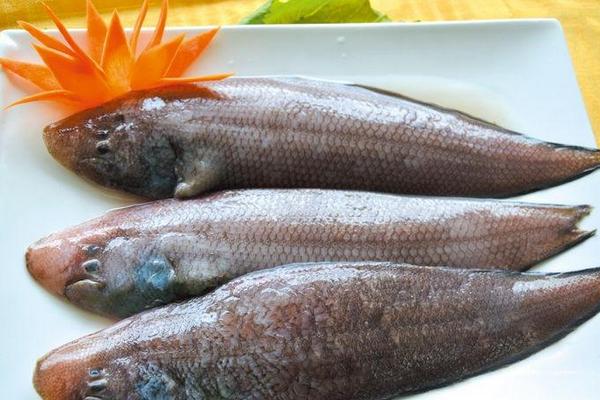 龙利鱼市场价格多少钱一斤 龙利鱼为什么那么便宜