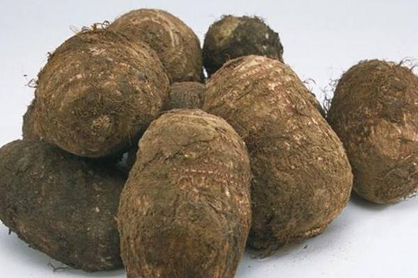 梦见芋头是什么意思 女人梦到挖了好多芋头有什么预兆