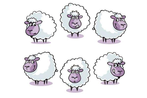 梦见绵羊是什么意思 女人梦到很多绵羊追自己有什么预兆