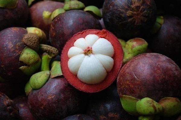 宝宝可以吃山竹吗 山竹一天最多吃几个