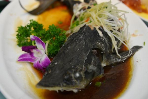 鲟鱼怎么做好吃又简单 清炖鲟鱼的家常做法