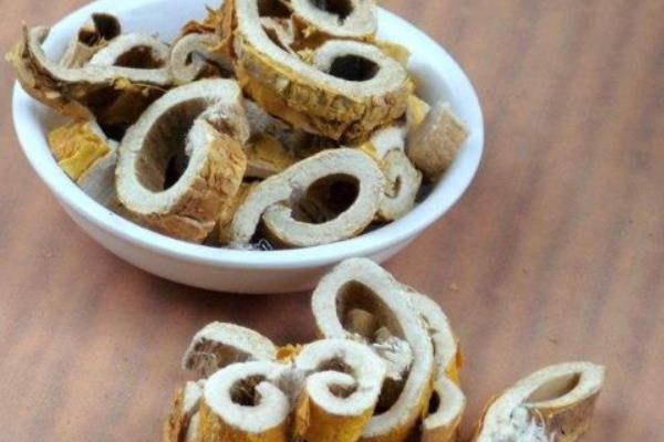 桑树皮功效与作用及禁忌 桑树皮药用价值