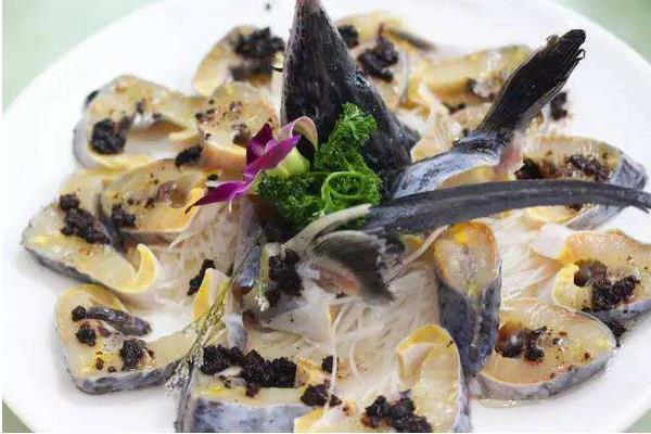 市场价格多少钱一斤 鲟鱼和中华鲟的区别是什么