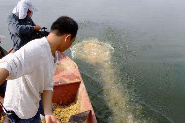 怎样钓罗非鱼 罗非鱼钓饵配方 钓罗非鱼用什么打窝