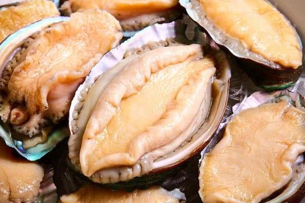 鲍鱼怎么吃 鲍鱼怎么处理 鲍鱼蒸多长时间