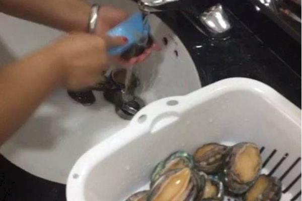 鲍鱼如何鉴别真假好坏 鲍鱼怎么挑选