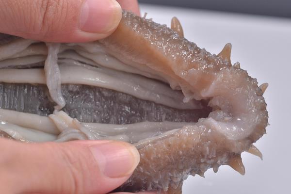 海参怎么做好吃又简单 海参家常做法大全