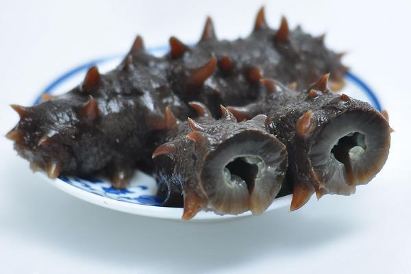 即食海参怎么吃 海参一周吃几个最佳(几天吃一个)