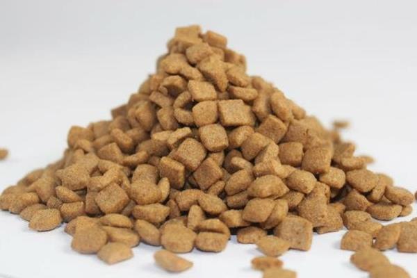 狗粮是什么做的 狗粮怎么泡(泡多久才合适)