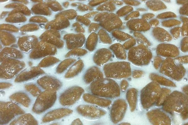 狗粮是什么做的 狗粮怎么泡(泡多久才合适)