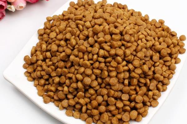 狗粮是什么做的 狗粮怎么泡(泡多久才合适)