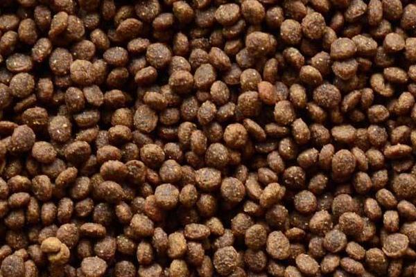 狗粮是什么做的 狗粮怎么泡(泡多久才合适)