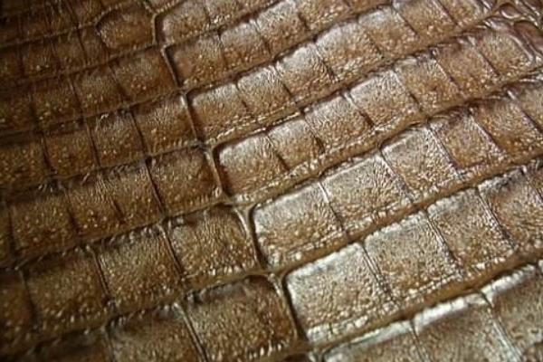 鸵鸟皮和鳄鱼皮哪个贵 鳄鱼皮市场价格多少钱一张