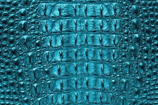 鸵鸟皮和鳄鱼皮哪个贵 鳄鱼皮市场价格多少钱一张