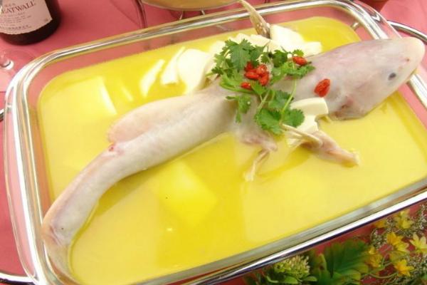 长江鮰鱼市场价格多少钱一斤 鮰鱼产地在哪里