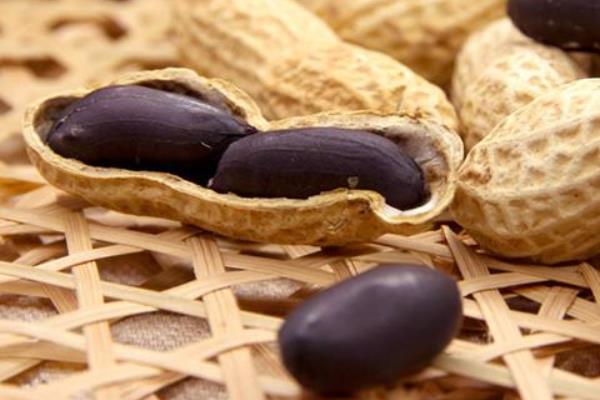 黑花生功效与作用及禁忌 黑花生营养价值