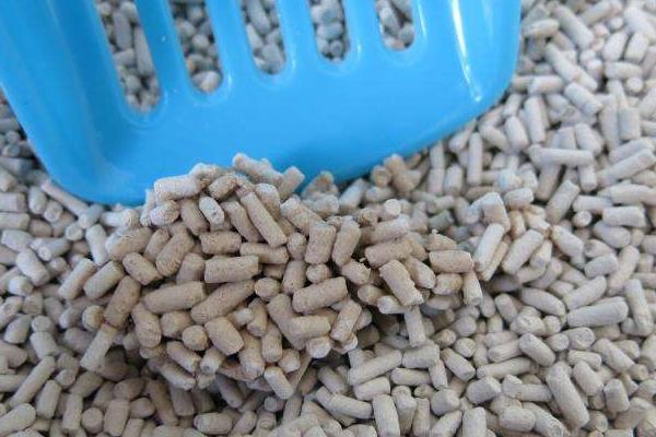 猫砂是什么材料做的 猫砂可以种花吗