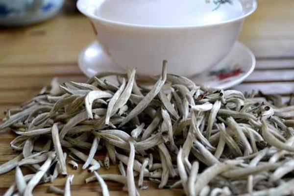 白毫银针茶的功效与作用 白毫银针怎么泡
