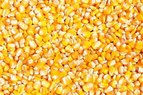 玉米粒怎么做好吃又简单 玉米粒的家常做法