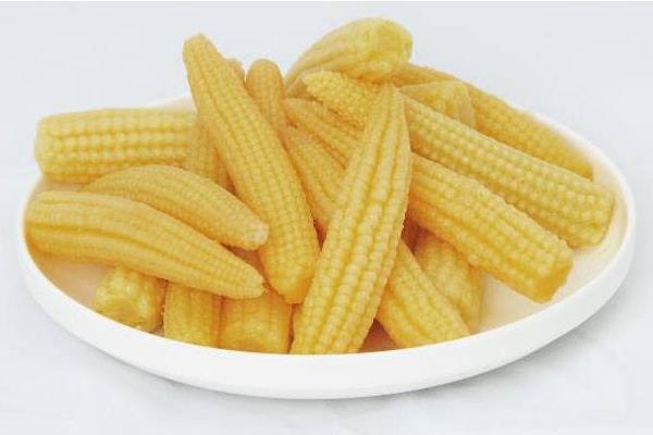 玉米笋是什么 玉米笋的营养价值