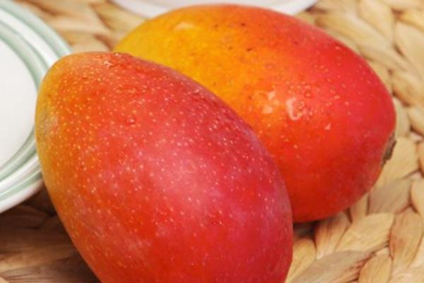 贵妃芒好吃吗 贵妃芒产地哪里