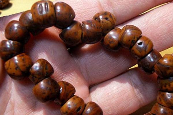 龙眼菩提和凤眼菩提哪个好 龙眼菩提怎么盘玩