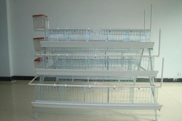 蛋鸡笼市场价格多少钱一组 蛋鸡笼买哪种好