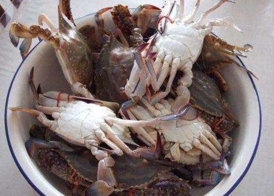 海蟹什么时候最肥 海蟹几月份吃最好