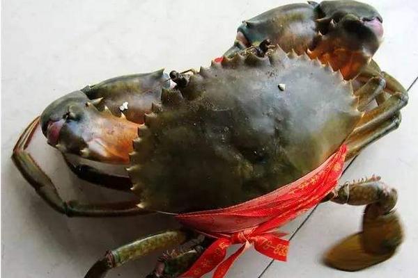 三门青蟹什么时候上市(几月) 三门青蟹最大特点是什么
