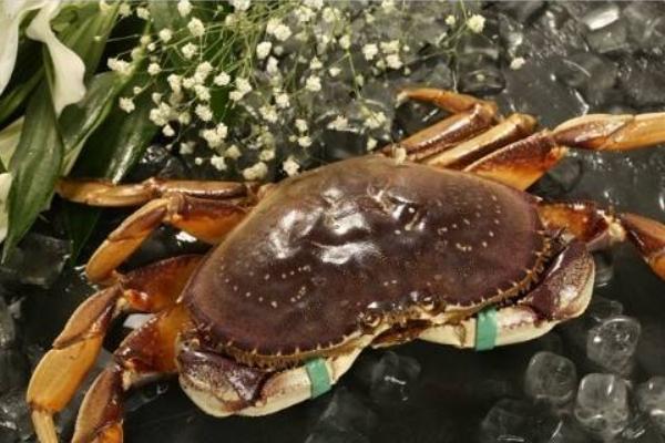 三门青蟹什么时候上市(几月) 三门青蟹最大特点是什么