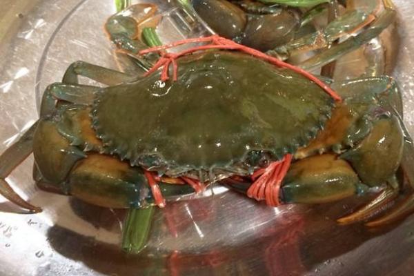 三门青蟹什么时候上市(几月) 三门青蟹最大特点是什么