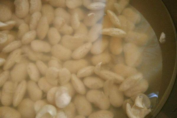 白芸豆怎么吃 白芸豆要泡多久