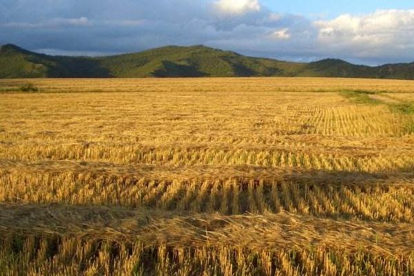 农业合作社成立条件 2018农业合作社补贴政策