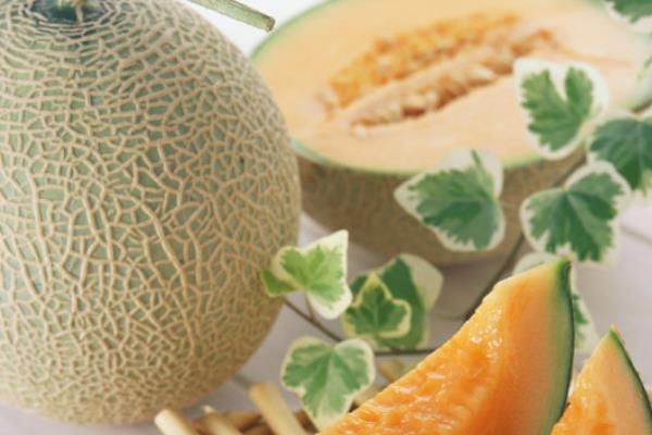 哈密瓜皮能吃吗 哈密瓜皮的功效与作用