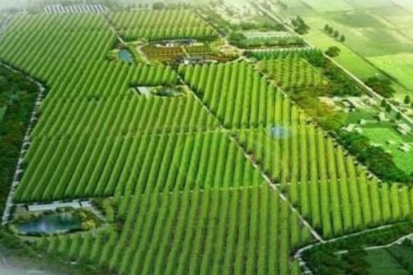 新农业产业是什么 什么是农业产业化