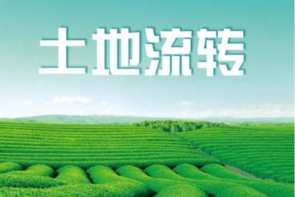 土地流转是什么意思 农村土地流转最新政策