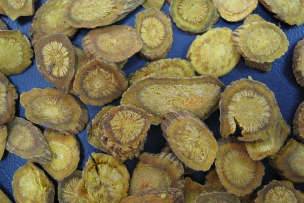 黄岑的功效与作用及禁忌 黄芩泡水喝有什么好处