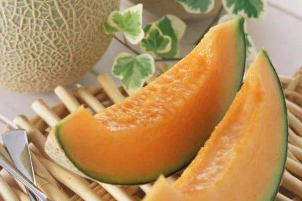 梦见哈密瓜是什么意思 孕妇梦到吃哈密瓜有什么预兆(是胎梦吗)