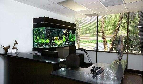 办公室鱼缸摆放位置风水图 老总办公室鱼缸摆放图